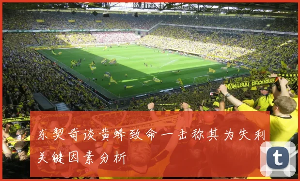 东契奇谈黄蜂致命一击称其为失利关键因素分析