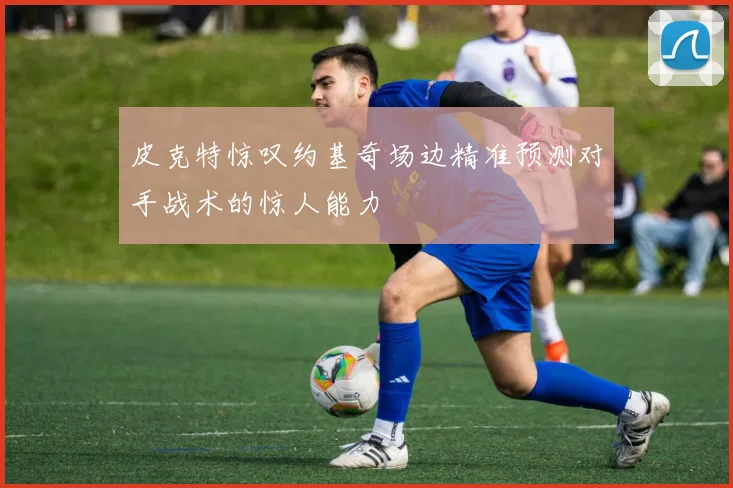 皮克特惊叹约基奇场边精准预测对手战术的惊人能力